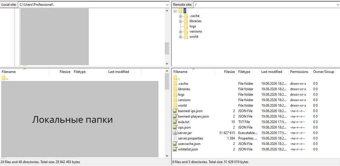 Файлы сервера в FileZilla
